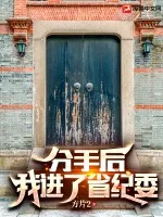 《分手后,我进了省纪委》小说封面