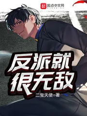 《反派就很无敌》小说封面