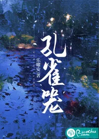 《孔雀笼》小说封面