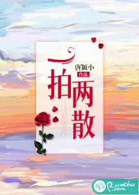 《一拍两散》小说封面