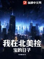《我在北美捡宝的日子》小说封面