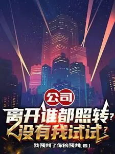 《公司离开谁都照转？没有我试试？》小说封面