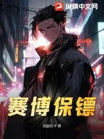 《赛博保镖》小说封面