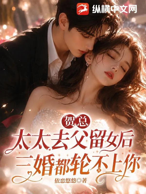 《贺总，太太去父留女后，三婚都轮不上你》小说封面