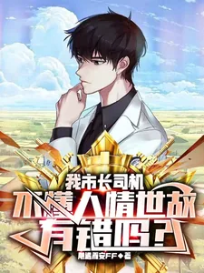《我市长司机,不懂人情世故有错吗》小说封面