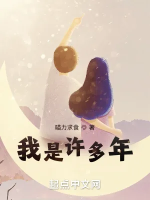 《四合院之我是许多年》小说封面