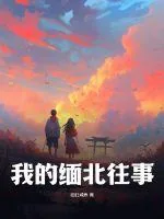 《我的缅北往事》小说封面