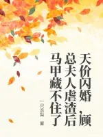 《天价闪婚，顾总夫人虐渣后马甲藏不住了》小说封面