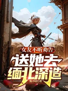 《女友不听劝告,送她去缅北深造》小说封面