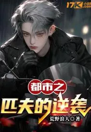 《都市之匹夫的逆袭》小说封面