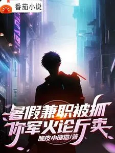 《暑假兼职被抓,你军火论斤卖?》小说封面