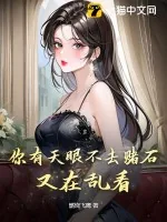 《你有天眼不去赌石，又在乱看》小说封面