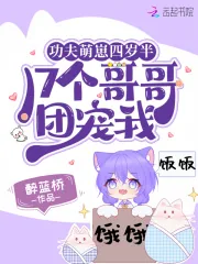 《功夫萌崽四岁半,17个哥哥团宠我》小说封面