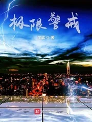 《极限警戒》小说封面