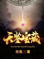 《天鉴宝藏》小说封面