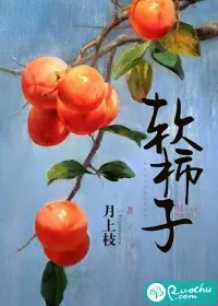 《软柿子》小说封面