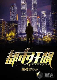 《都市狂飙》小说封面