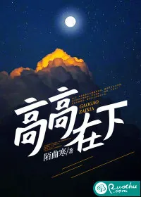 《高高在下》小说封面