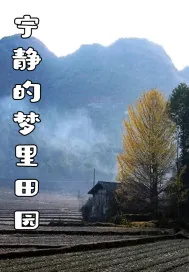 《宁静的梦里田园》小说封面