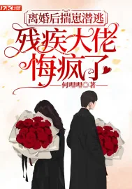 《离婚后揣崽潜逃,残疾大佬悔疯了》小说封面