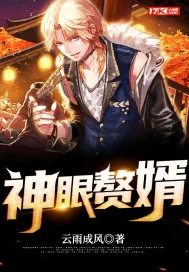 《神眼赘婿》小说封面