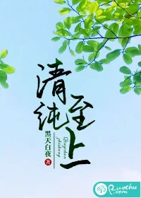 《清纯至上》小说封面