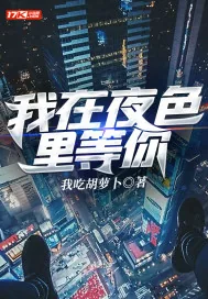 《我在夜色里等你》小说封面