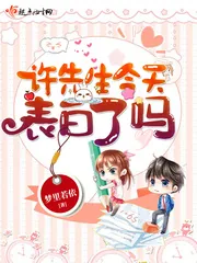 《许先生今天表白了吗》小说封面