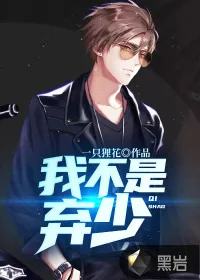 《我不是弃少》小说封面