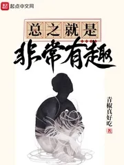《总之就是非常有趣》小说封面