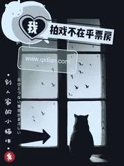 《我拍戏不在乎票房》小说封面