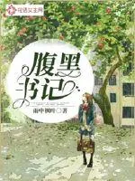 《腹黑书记》小说封面