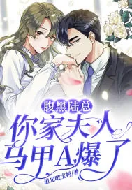 《腹黑陆总，你家夫人马甲A爆了》小说封面