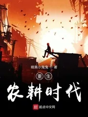 《重生农耕时代》小说封面