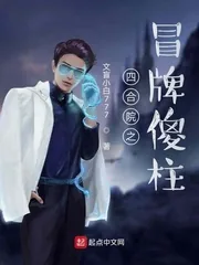 《四合院之冒牌傻柱》小说封面
