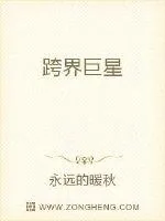 《跨界巨星》小说封面