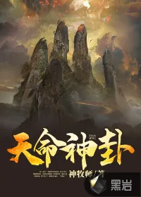 《天命神卦》小说封面