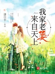 《我家老婆来自天上》小说封面