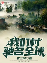 《我们村驰名全球》小说封面