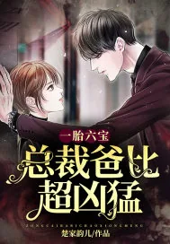《一胎六宝:总裁爸比超凶猛》小说封面