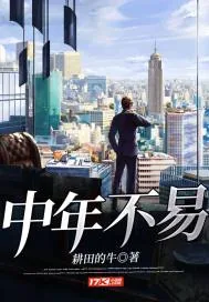 《中年不易》小说封面