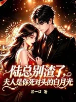 《陆总别渣了,夫人是你死对头的白月光》小说封面