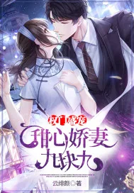 《权门盛宠:甜心娇妻九块九》小说封面