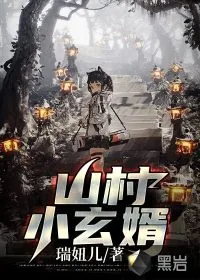 《山村小玄婿》小说封面