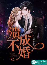 《溃不成婚》小说封面