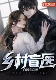 《乡村盲医》小说封面