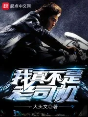 《我真不是老司机》小说封面