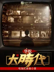 《华娱大时代》小说封面