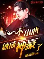 《一不小心就成神豪了》小说封面