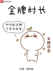 《金牌村长》小说封面